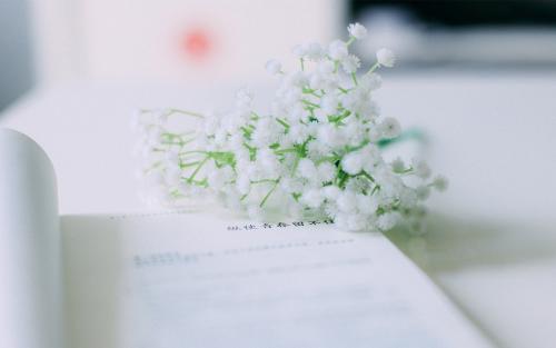 同等学力硕士学位的含金量